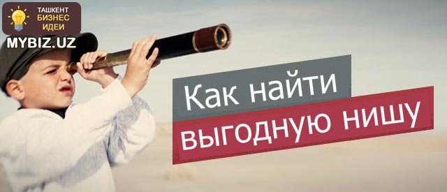 Как выбрать нишу для бизнеса